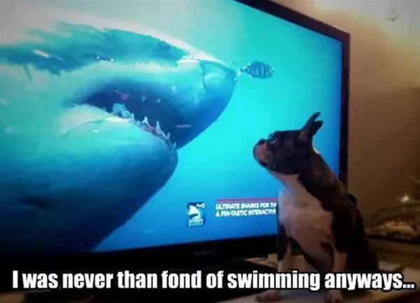 Not A Big Swimmer