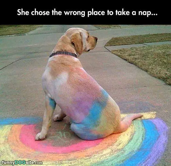 A Rainbow Nap