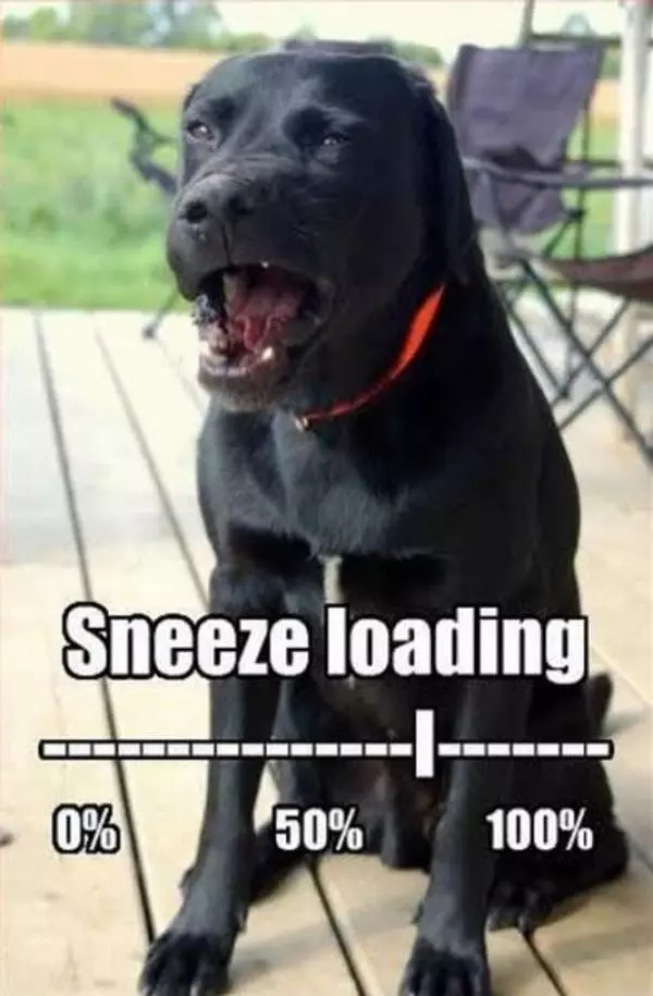 Sneeze Loading
