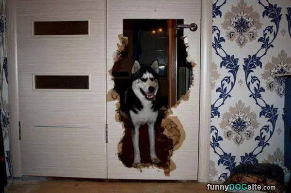 Improved Your Door
