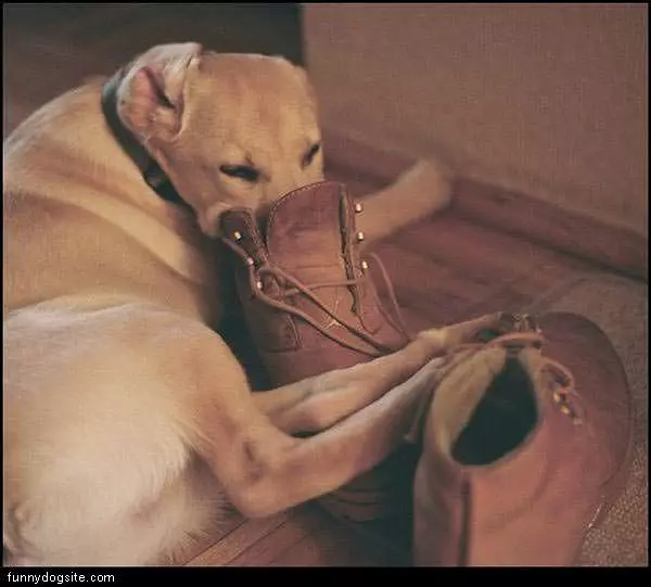 Boot Sniffer