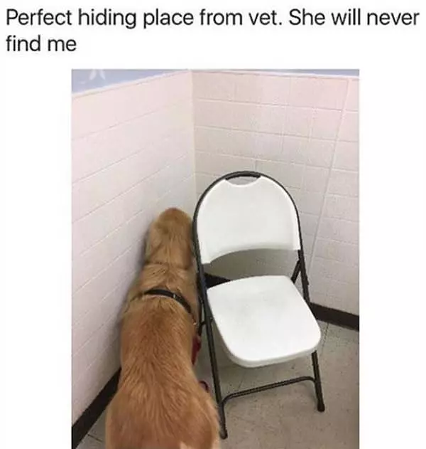 She Will Never Find Me Here
