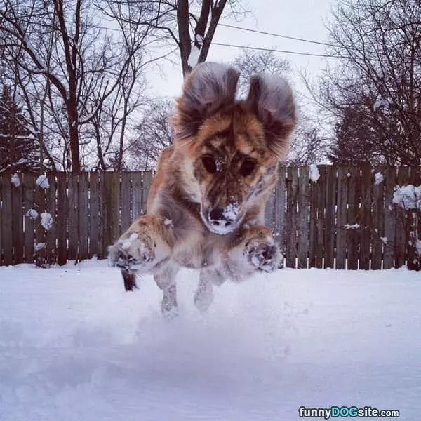 Snowy Jump Attack