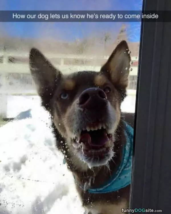 Derppp Let Me In