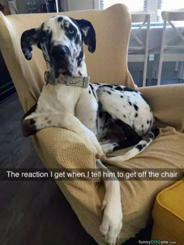 Get Off The Chair