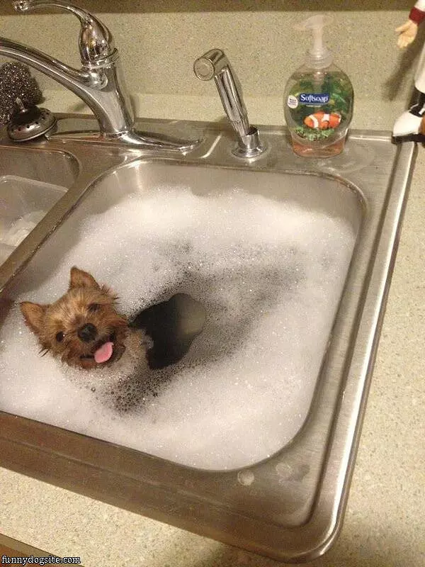Cleaning In The Sink
