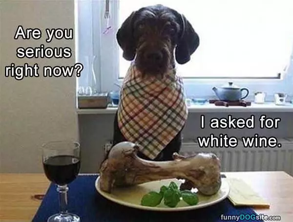 Where Is My Wine