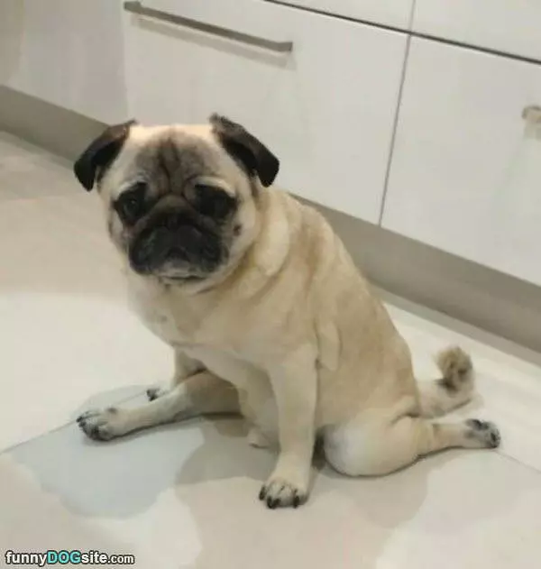 I Sit How I Want To Sit