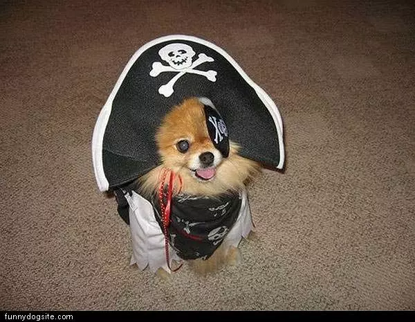 Arr Pirate