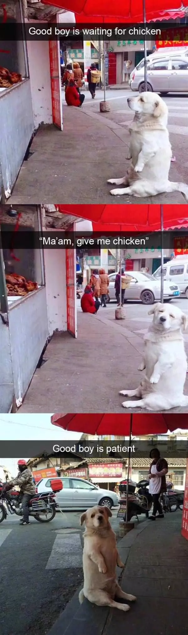 A Chicken Please