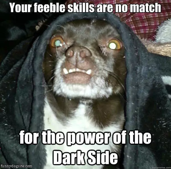 Darkside Dog