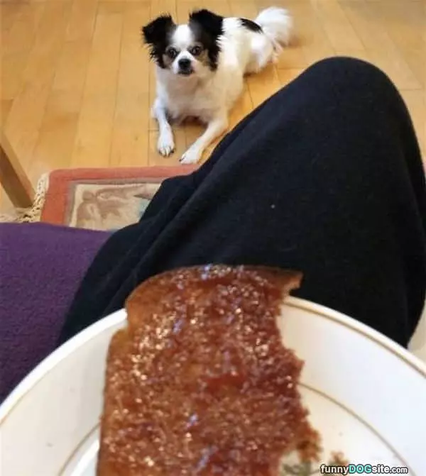Just A Bite Please