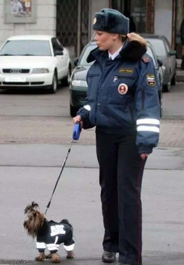 Warm Police Dog