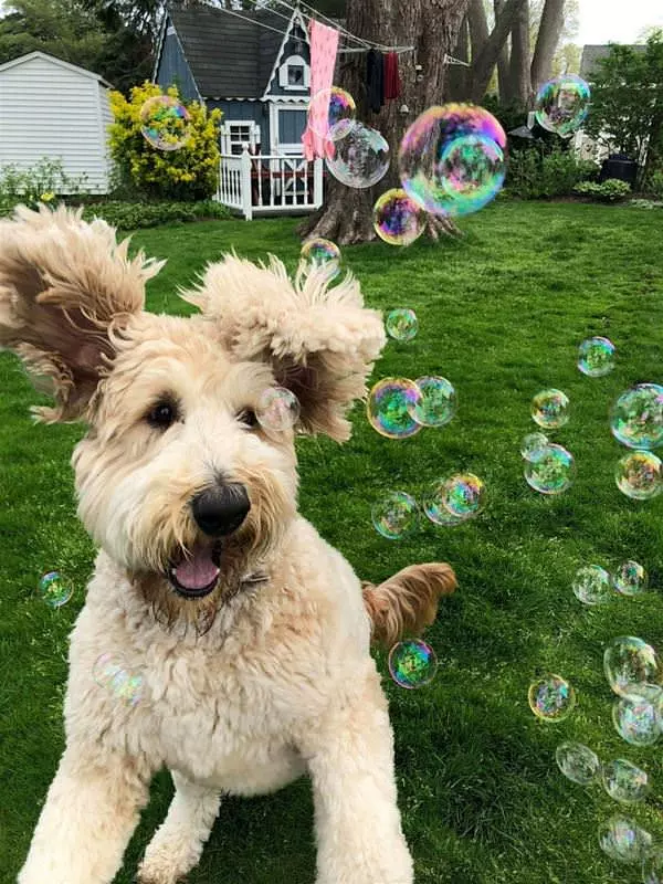 I Love Some Bubbles