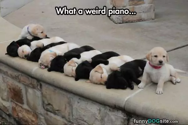 Weird Piano