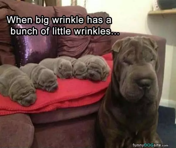 Lots Of Wrinkles