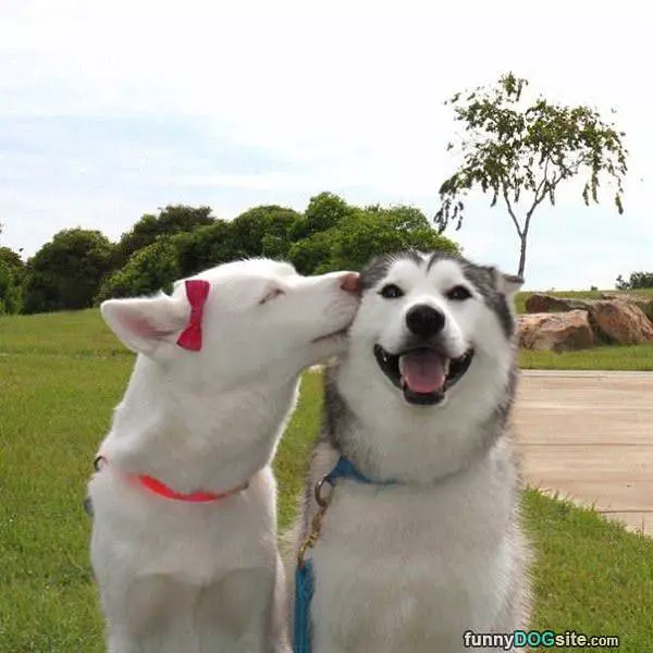 Cute Little Kiss
