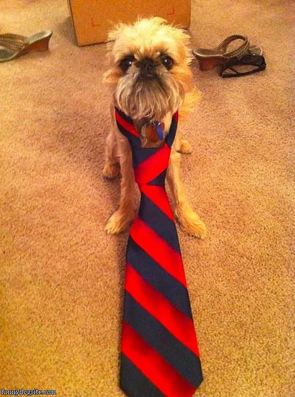 Nice Tie